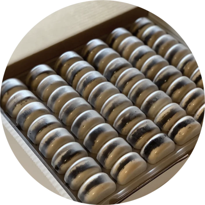 Packed in a clear plastic tray